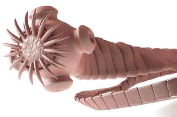 parazita iz človeškega telesa